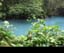 The Blue Lagoon